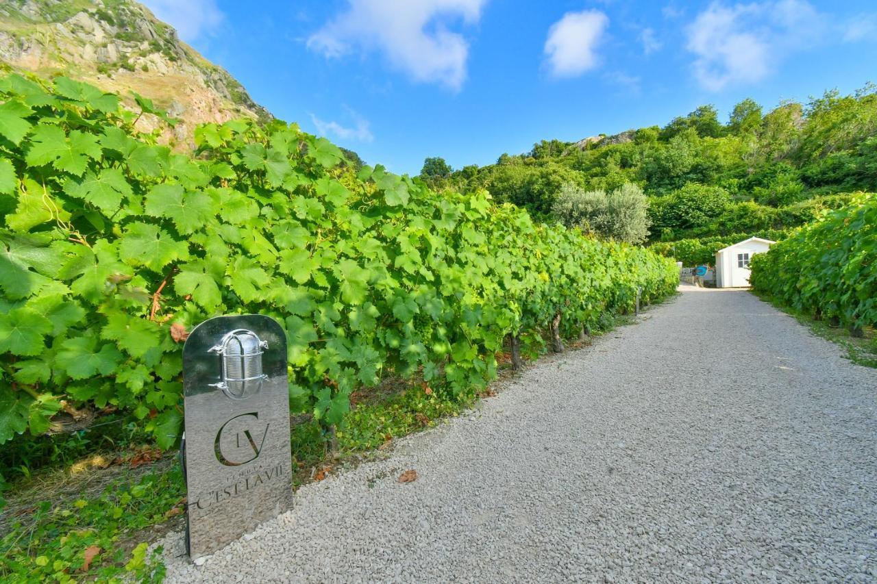 Tenuta C'est la Vie Forio di Ischia Esterno foto