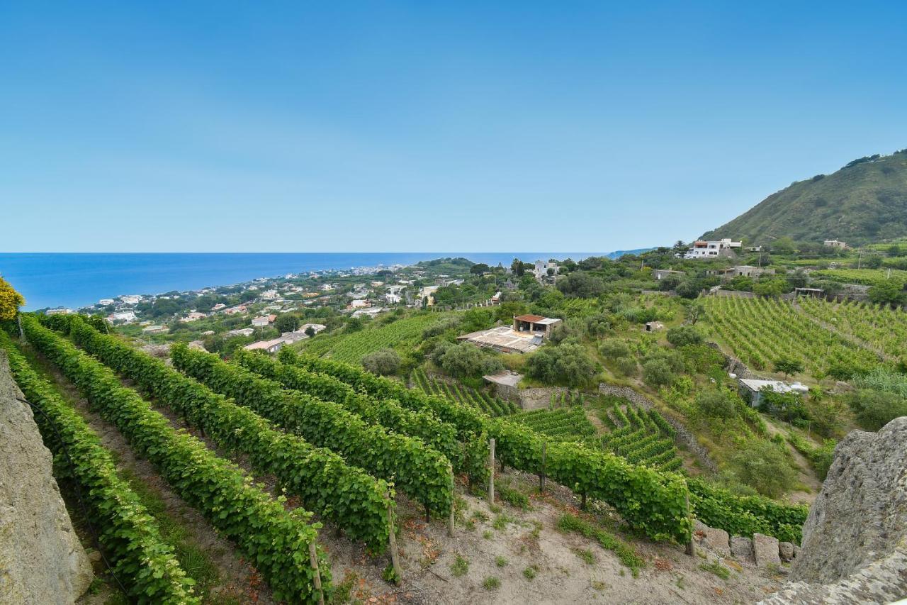 Tenuta C'est la Vie Forio di Ischia Esterno foto